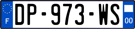 DP-973-WS