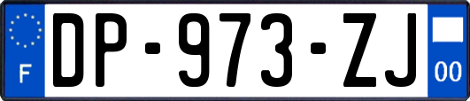 DP-973-ZJ