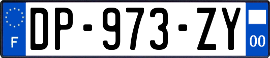 DP-973-ZY