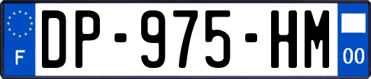 DP-975-HM