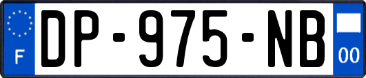 DP-975-NB