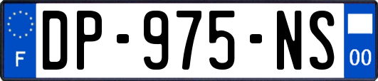 DP-975-NS