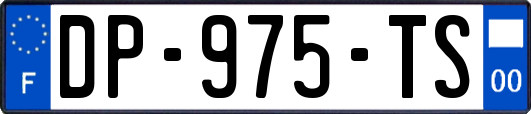 DP-975-TS
