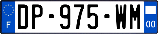 DP-975-WM