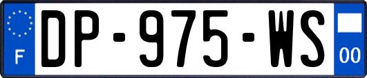 DP-975-WS