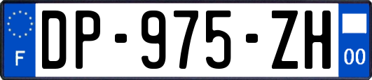 DP-975-ZH