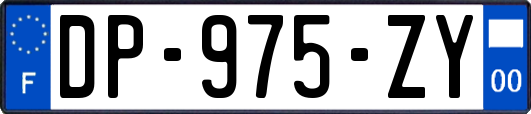 DP-975-ZY