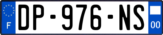DP-976-NS
