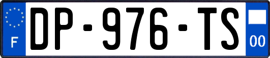 DP-976-TS