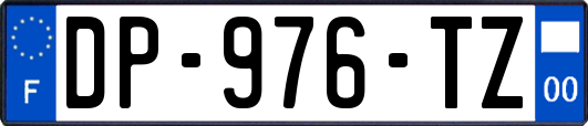 DP-976-TZ