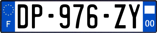 DP-976-ZY