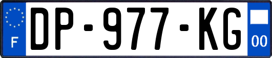DP-977-KG