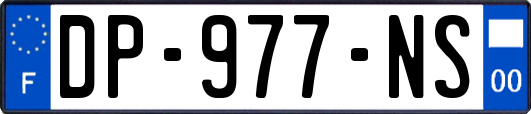 DP-977-NS