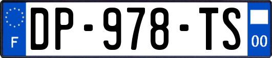 DP-978-TS