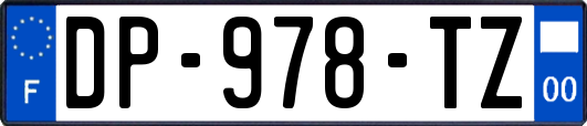 DP-978-TZ