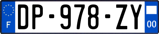 DP-978-ZY