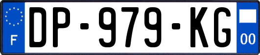 DP-979-KG
