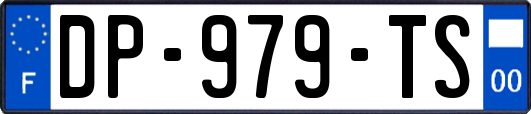 DP-979-TS