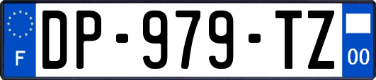 DP-979-TZ