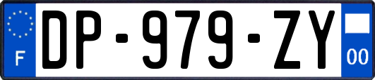 DP-979-ZY