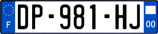 DP-981-HJ