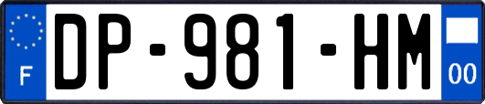 DP-981-HM