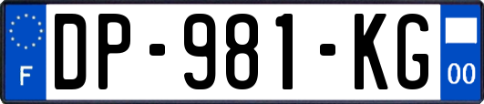 DP-981-KG