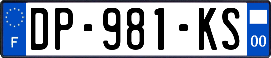 DP-981-KS