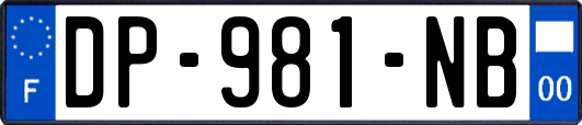 DP-981-NB