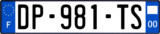DP-981-TS