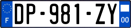 DP-981-ZY