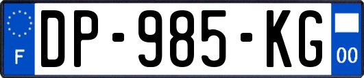 DP-985-KG