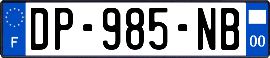 DP-985-NB