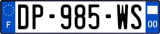 DP-985-WS