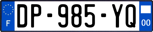 DP-985-YQ