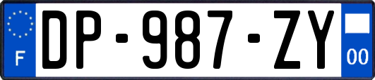 DP-987-ZY