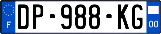 DP-988-KG