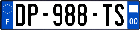DP-988-TS