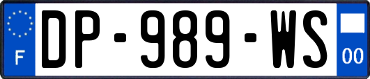 DP-989-WS