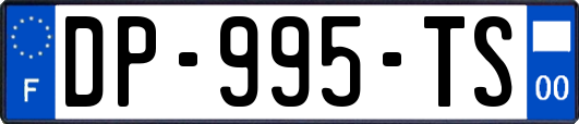 DP-995-TS