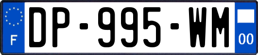 DP-995-WM