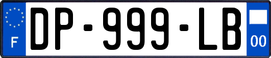 DP-999-LB