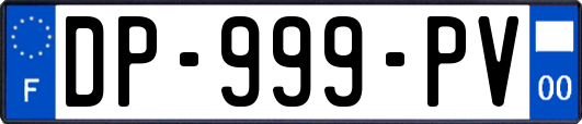 DP-999-PV