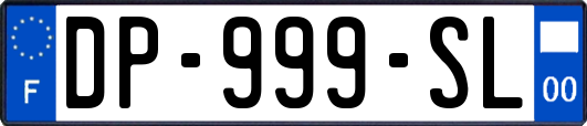 DP-999-SL