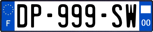 DP-999-SW