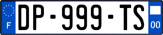 DP-999-TS