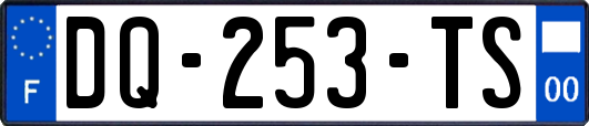 DQ-253-TS