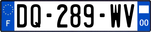 DQ-289-WV