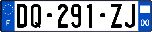 DQ-291-ZJ