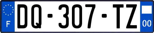 DQ-307-TZ